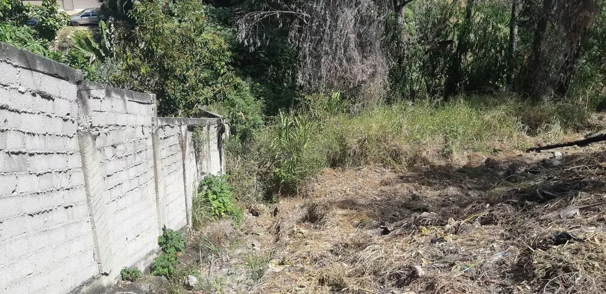 Terreno (Residencial) en Venta en La Trinidad, Distrito Metropolitano - 8