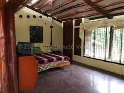 Vista 33