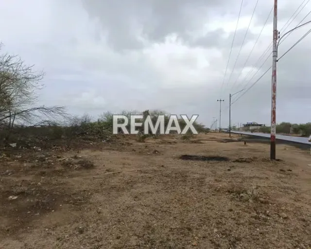 OPORTUNIDAD DE DESARROLLO URBANO. TERRENO DE 9.6 HAEN PRIMERA LÍNEA EN LAS VILLARROELES - 3