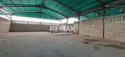 Vista 4