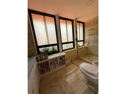 Vista 25