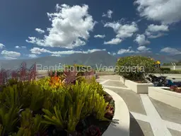 View 33