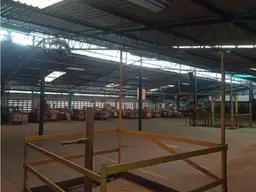 Vista 16
