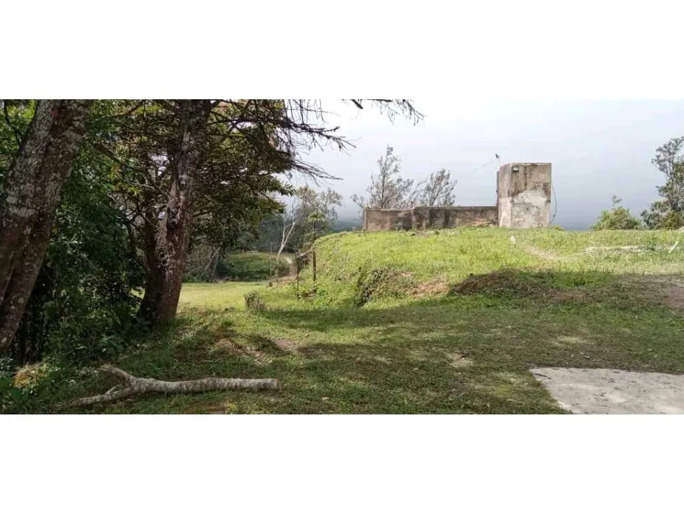 Vendo terreno 18.100m2 El Junquito 4753