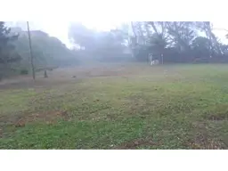 Vista 5