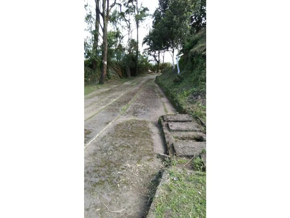 Vendo terreno 18.100m2 El Junquito 4753 - 8