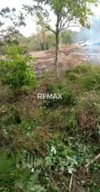 Se vende terreno en lobatera