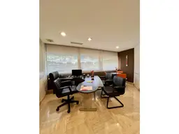 Vista 26