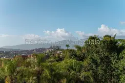 View 14