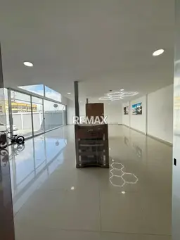 Vista 14