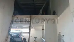 Vista 20