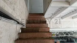 Vista 10