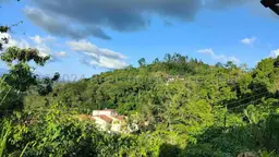Vista 11