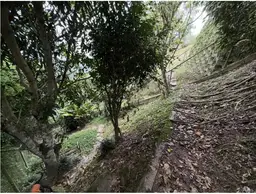 Vista 25