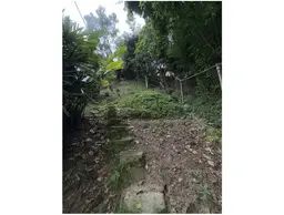 Vista 26