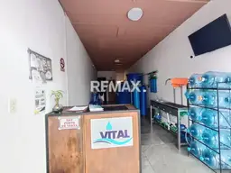 Vista 6