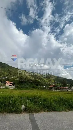 Vista 1