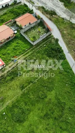 Vista 4