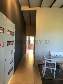 Vista 19