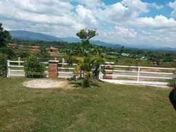 Vista 6