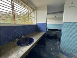 Vista 19
