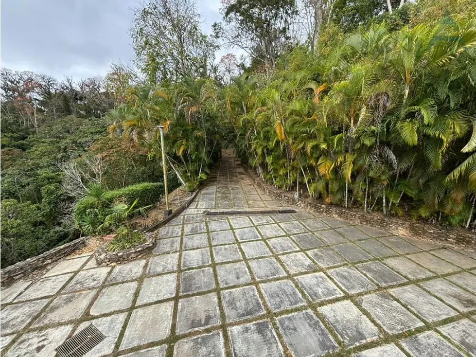 Se vende casa 10000m² 4h+s/4b+s/20p Los Anaucos Norte - 6