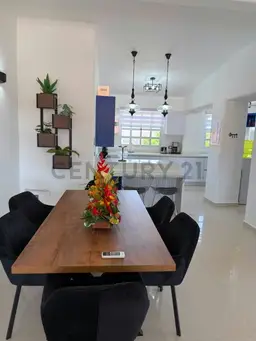 Vista 4