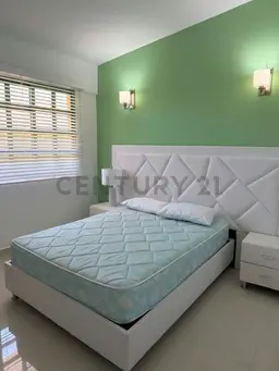 Vista 6