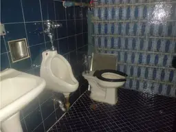 Vista 7