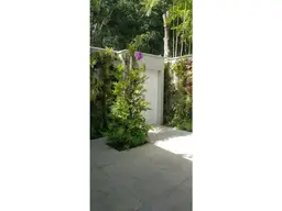 Vista 5