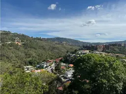 Vista 29