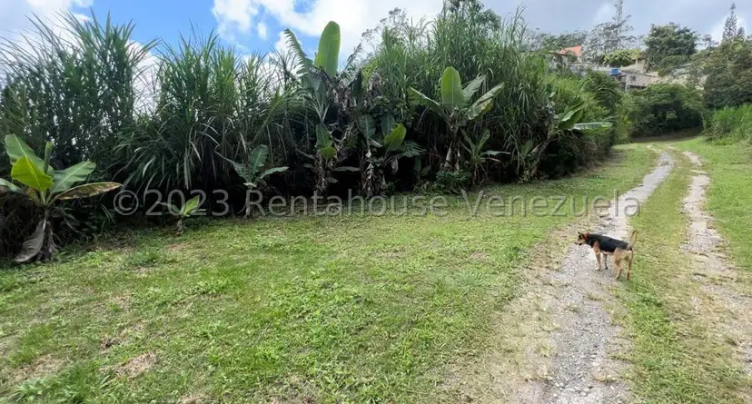 Terreno (Comercial) en Venta en San Antonio, Miranda