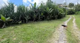 Vista 1