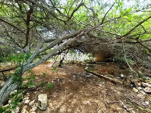 Terreno en venta en Adicora. Mcpio. Falcón - 2