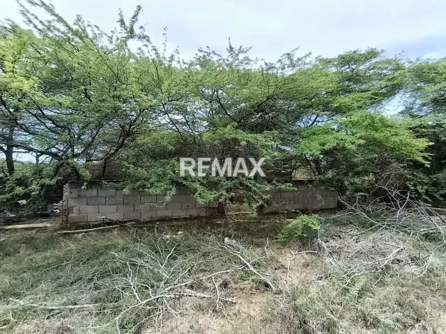 Terreno en venta en Adicora. Mcpio. Falcón - 3