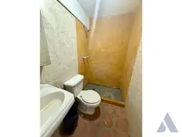 Vista 50