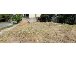 Vista 4