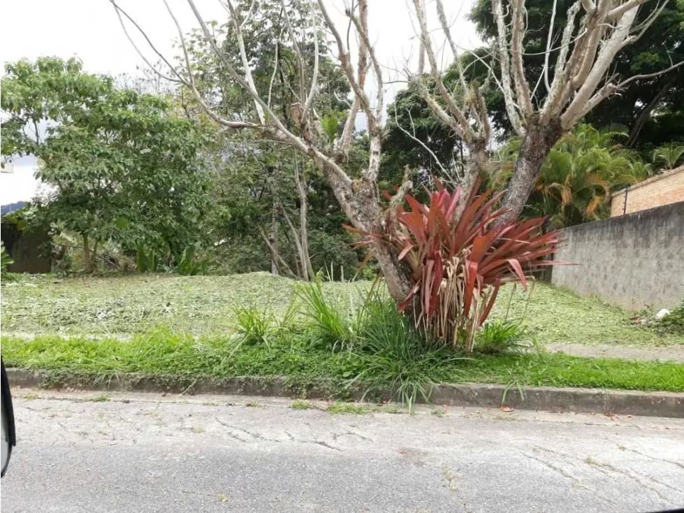 Vendo terreno 755m2 Oripoto 4228 - 7
