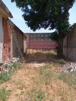 Vista 5
