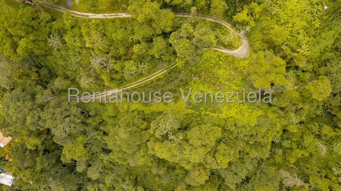 Terreno (Residencial) en Venta en San Diego de los Altos, Miranda - 2