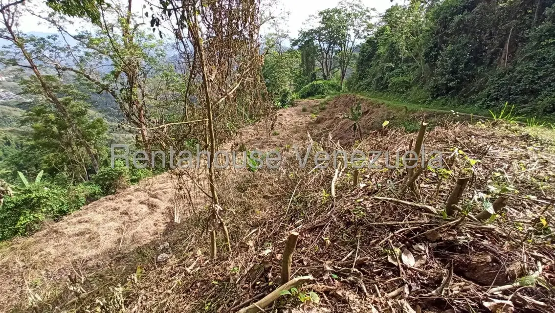 Terreno (Residencial) en Venta en San Diego de los Altos, Miranda - 5
