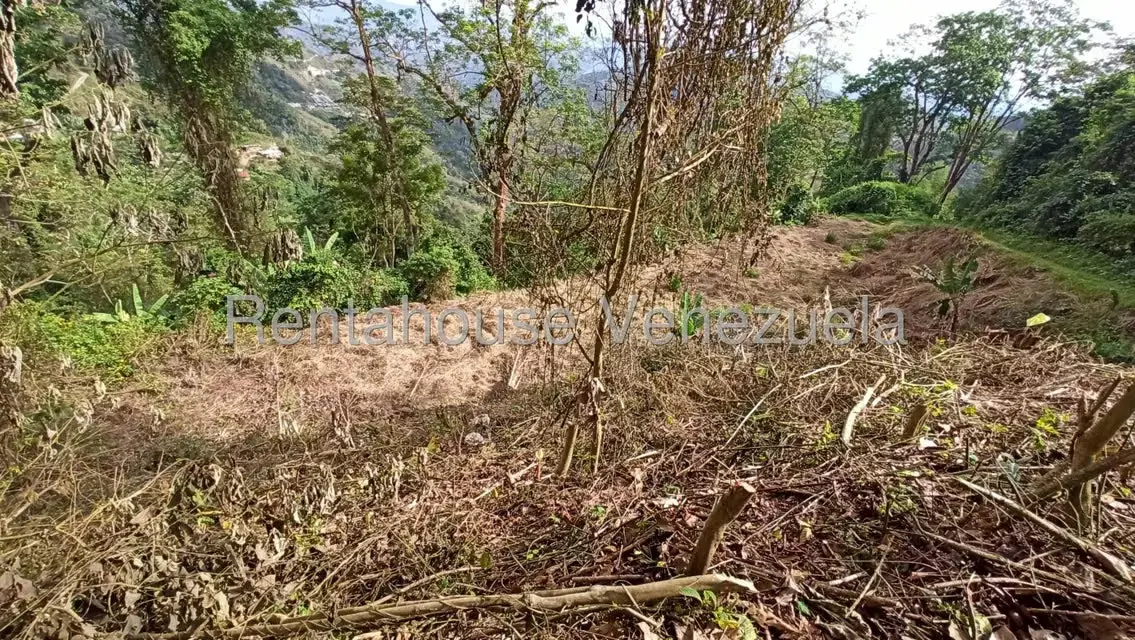 Terreno (Residencial) en Venta en San Diego de los Altos, Miranda - 6