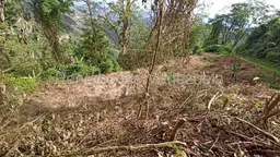 Vista 6