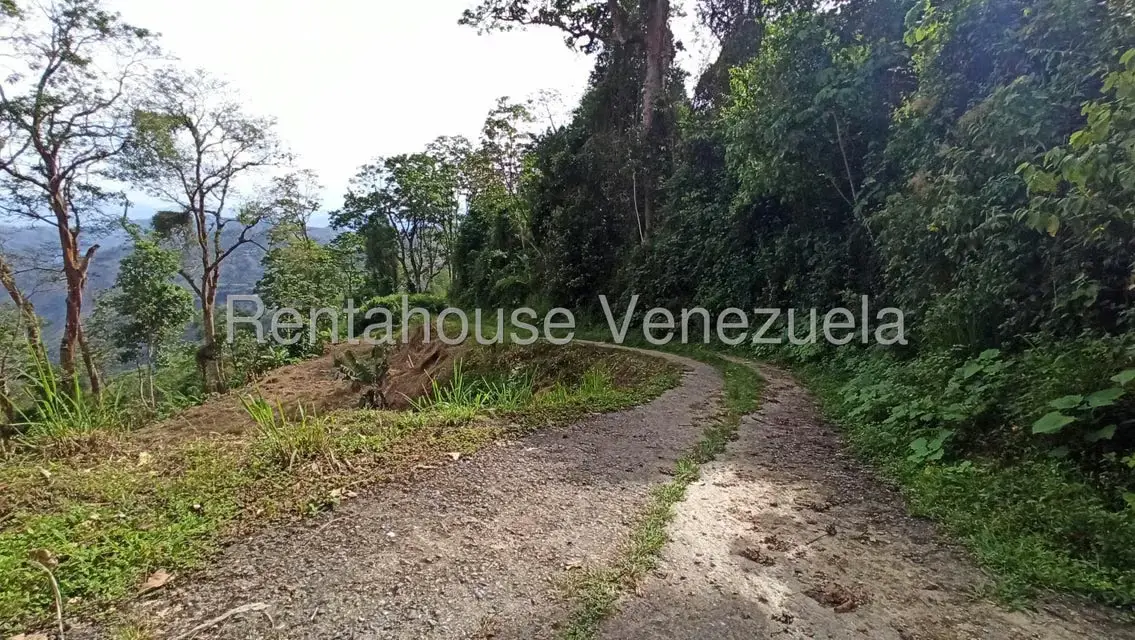 Terreno (Residencial) en Venta en San Diego de los Altos, Miranda - 7