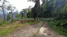 Vista 7