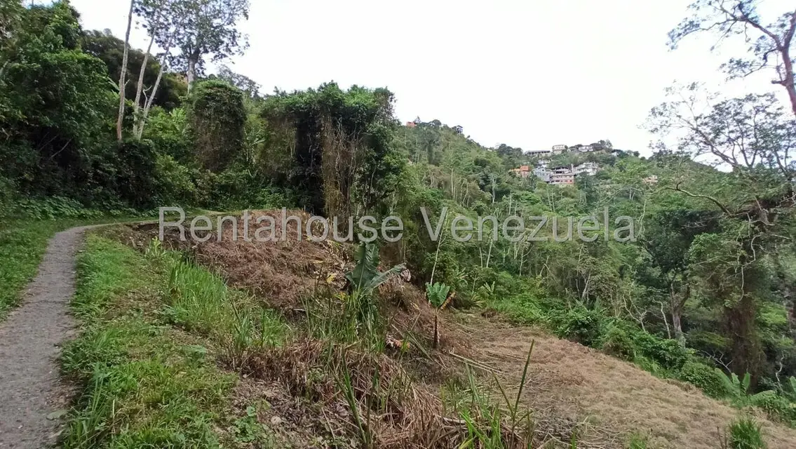 Terreno (Residencial) en Venta en San Diego de los Altos, Miranda - 8