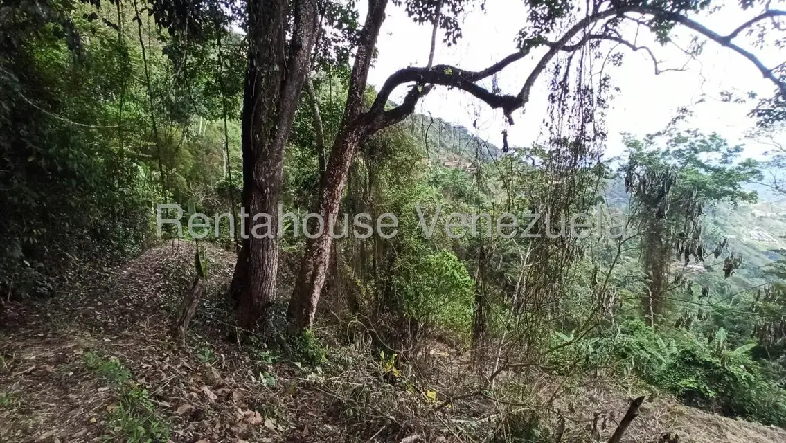 Terreno (Residencial) en Venta en San Diego de los Altos, Miranda - 9