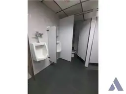 Vista 19