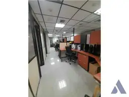 Vista 33