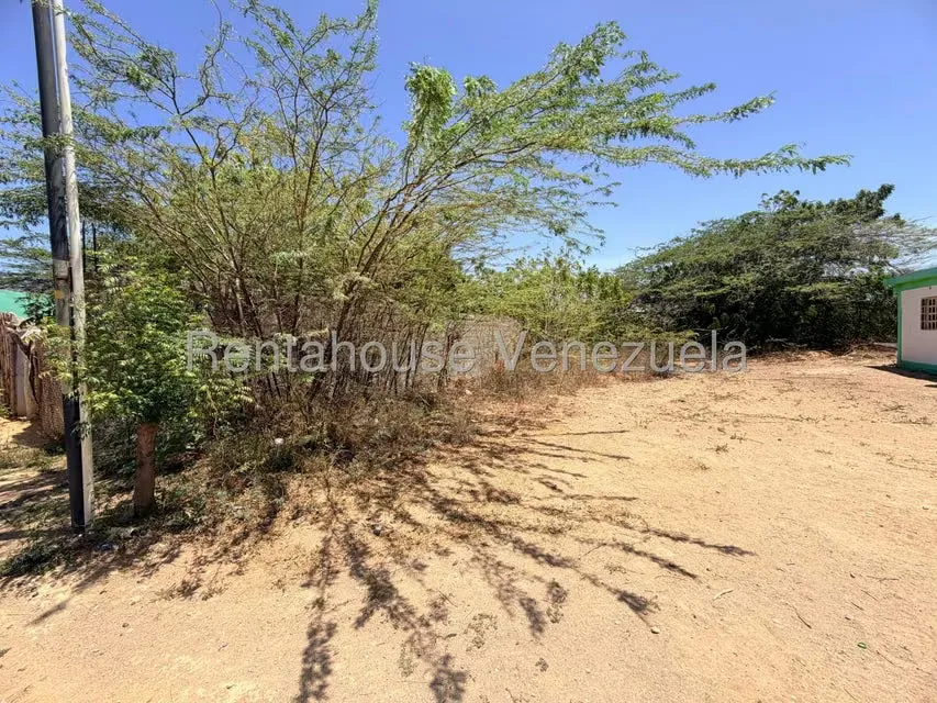 Terreno (Residencial) en Venta en Guanadito, Falcon - 7